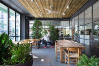 15 &copy; olga planas