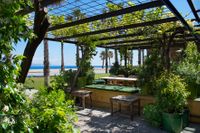 01 &copy;&nbsp;olga planas